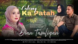 Download lagu Dian Tamliqan  -Cabeung Ka Patah mp3
