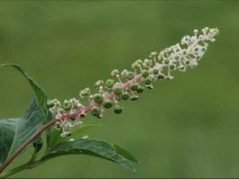 Wollaston Beach, Quincy, MA