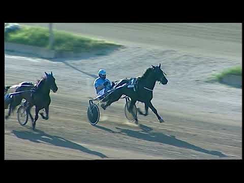 Napoli Trotto 02/07/2021 - 1ª prova di qualifica