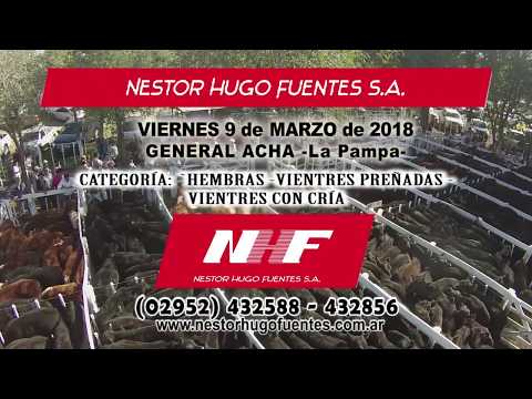 REMATE FERIA: N.H.F. S.A. - GRAL. ACHA -VIE-9 MARZO -CATEGORÍA: VIENTRES