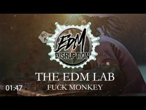 🔥THE EDM LAB - FUCK MONKEY