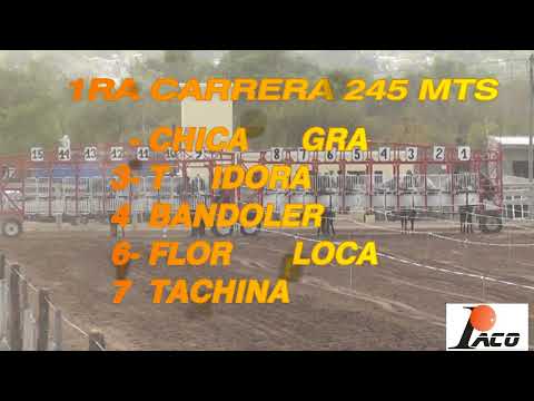 CHICA NEGRA HIPODROMO DON SOHAR CRUZ DEL EJE 28 08 2022