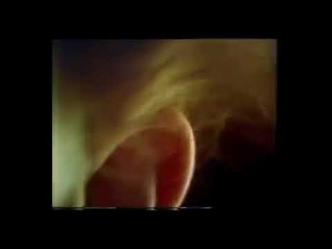 1976 creamsilk conditioner