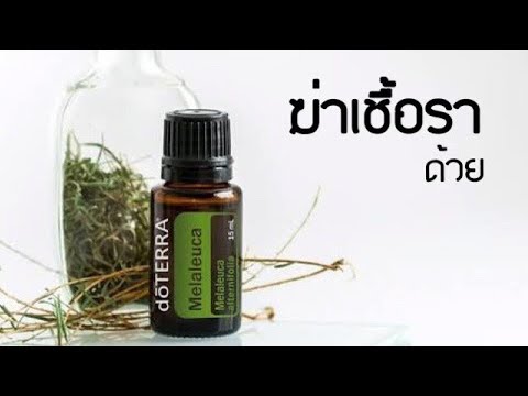 ไม้เรียว Chaga สำหรับความแรง วิธีที่จะเข้าใจว่าผู้หญิงคนนั้นเป็นความตื่นเต้นด้วยการจูบ