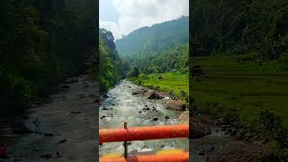 Download lagu Suasana Kampung yang asri bikin sejuk dipandang #sunda #music #storywa mp3