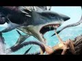 Top 10 Shark Movies 