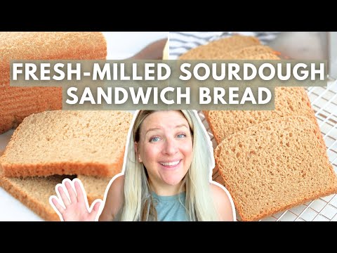 The SOFTEST Fresh-Milled Sourdough Sandwich Bread | STEP-BY-STEP