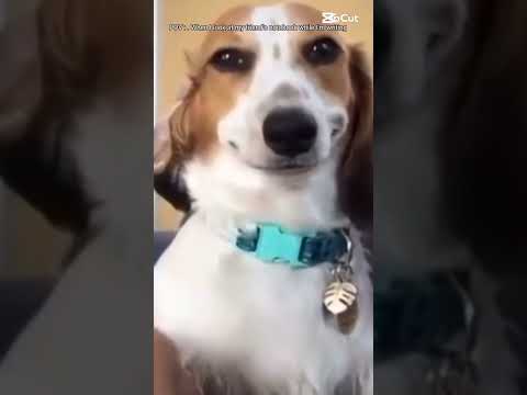 POV :.When I look at my friend's notebook while I'm writing