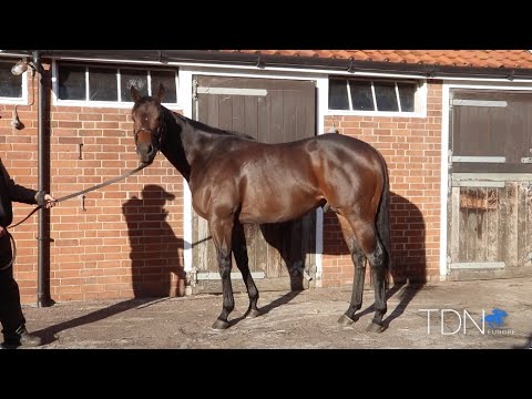 Ubettabelieveit Has Richard Kent Believing