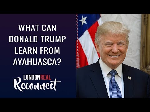 サイケデリックは「内なる自分」を欠いた人には触れられない。- デニス・マッケンナリコネクション・バイ・ロンドン・リアル (Psychedelics Can't Touch People Who Lack An 'Inner-Self.' - Dennis McKenna. Reconnect By London Real)