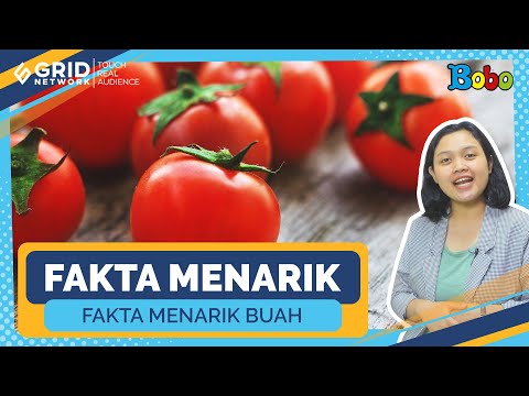 , title : 'Fakta Menarik Tomat, Buah atau Sayur? - Kompilasi Video'