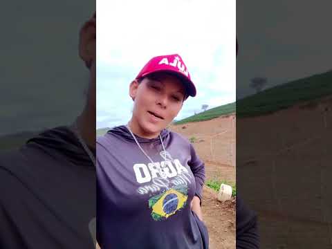 SOU DE NOVA BELÉM MINAS GERAIS .  SIMONE DO AGRO . ❤️❤️🙏