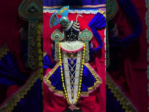 Woh kisna Hai #shorts #dwarka #dwarkadhish #hindutemple