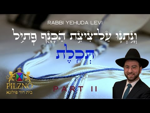 Techeiles Shiur | Rabbi Yehuda Levi | Part 2