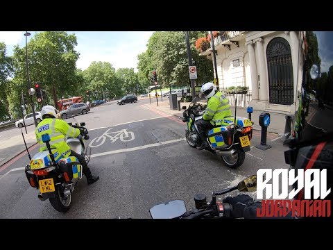 Daily Observations 257