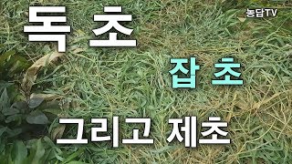 독초들과 잡초 제초