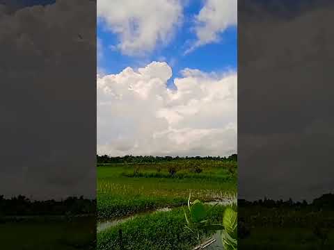 Juda Apne Dilbar Se #Alka Yagnik & sukhwinder #nature #viral videos @sajijulsardar3365