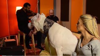 Suzanna-Çal Kemancı (Ali Kınık Cover)