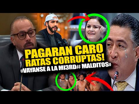 INCREIBLE! Ernesto Castro suelta la FUR1A de BUKELE contra los diputados MARER0S en El Salvador!