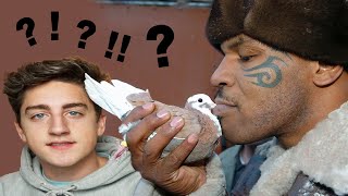 mike tyson is obsessed with pigeons??