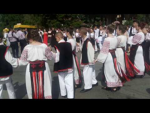 Ruga de la Fibis 2017