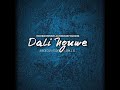 Dali Nguwe saxophone remix(By Woniemusicsa & Stanley Cloete)