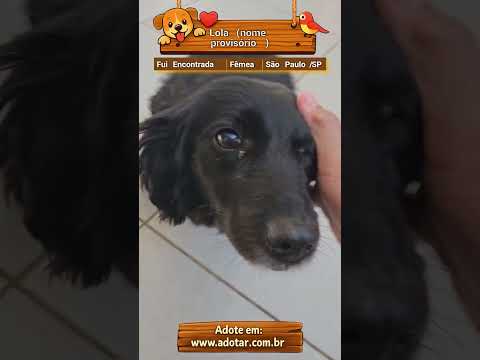 Vídeo de Lola (nome provisório)