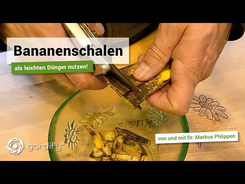 Use banana peels as a light fertilizer! | gardify tips
