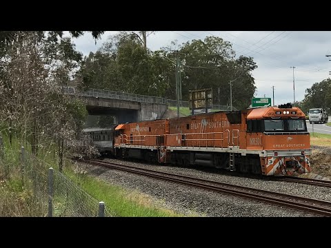 Journey Beyond the Great Southern leads 2BT8 with NR30/NR31 South through Greenbank 9/12/24