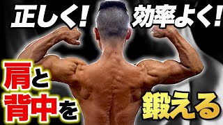 肩と背中の筋肉を解剖学的観点から効率よく鍛える方法