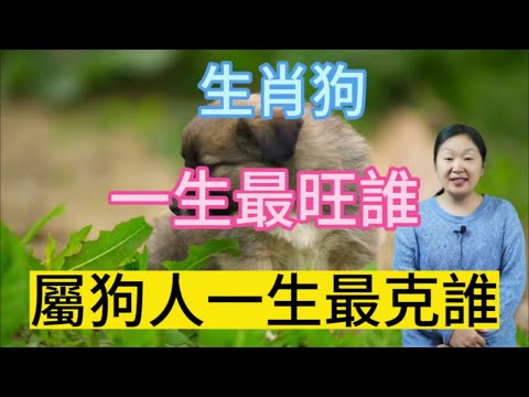生肖狗的人