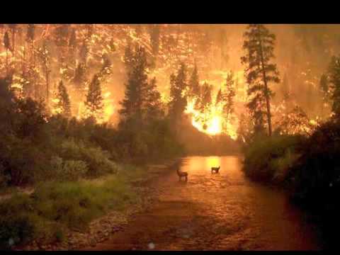 Our Fortress Is Burning Ii - Bloodbirds - Agalloch