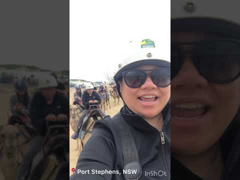 Camel Ride AUSTRALIA | Anna Bay Port Stephens, NSW #short