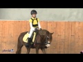 Rauf Auf S Pony Reitanfänge Mit Und Ohne Sattel Ulrike Mohr