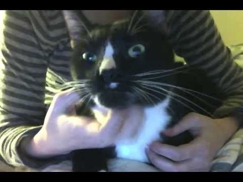 I DON'T WANT 2 GET OVER U- MAGNETIC FIELDS