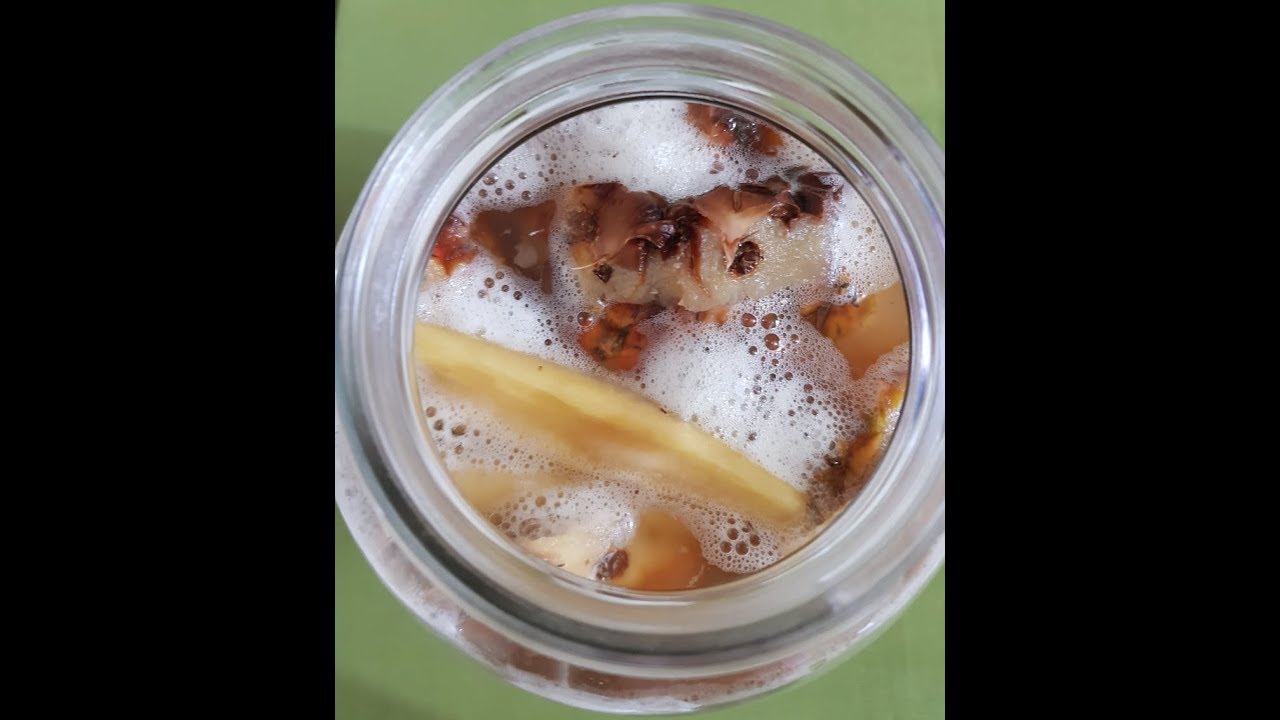 FERMENTADOS # TEPACHE