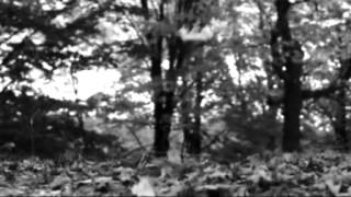 Hedegaard - Happy Home (Burra Remix)