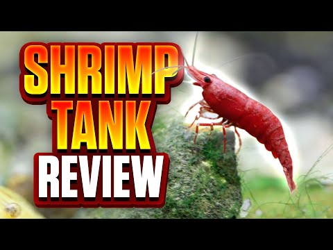 Is This The Best All-In-One Shrimp Tank On The Market? (Aquael Shrimp Set Review)