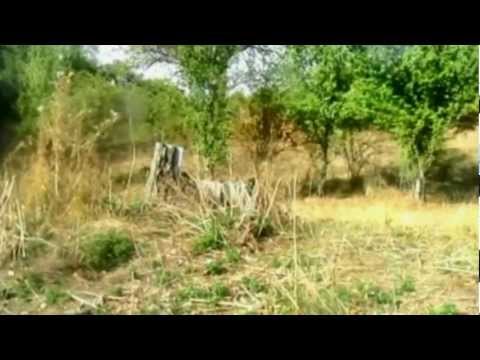 Rexhmen-Mahalla e Jasharve