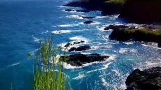 Deitrick Haddon Help Somebody