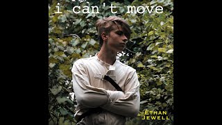 I Can't Move Music Video