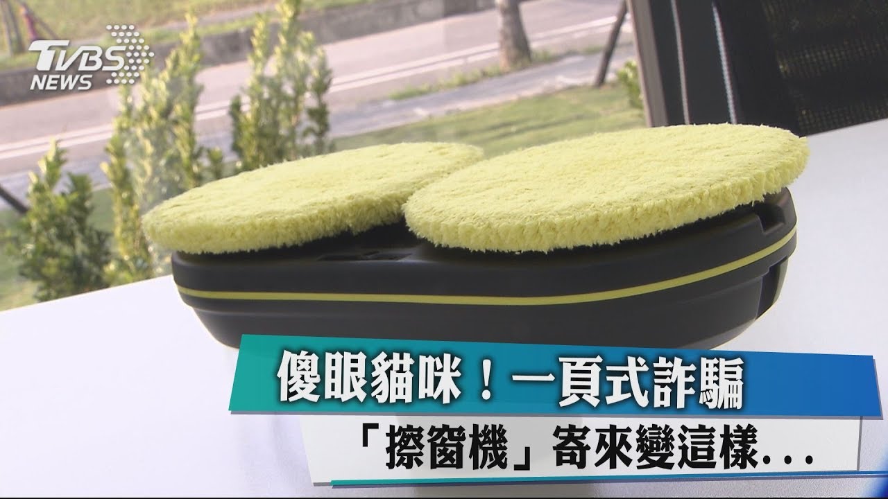 傻眼貓咪! 一頁式詐騙「擦窗機」寄來變這樣...