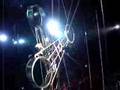 Ringling Bros Circus