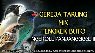 Download lagu Ngeriiii masteran gereja tarung kombinasi tengkek ... mp3
