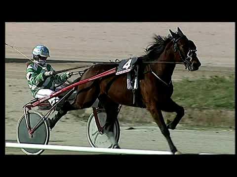 Napoli Trotto 14/02/2021 - 2ª corsa