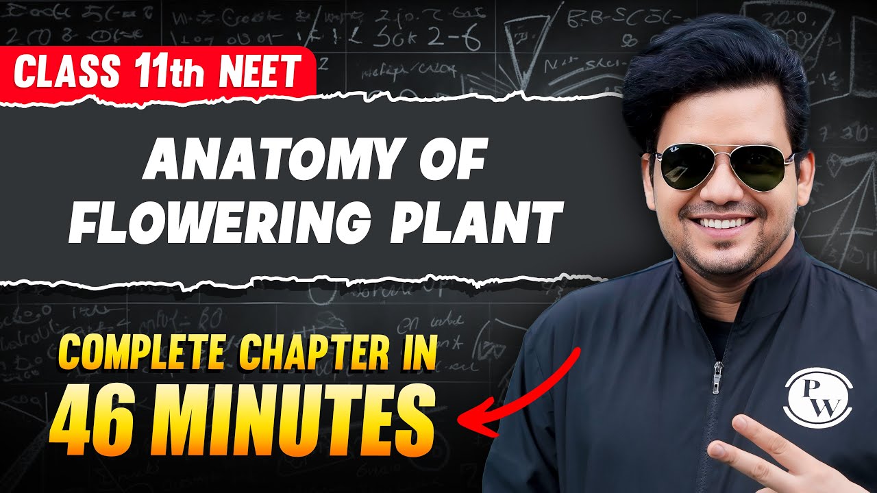 ANATOMY OF FLOWERING PLANTS IN 46 Minutes | FULL Chapter For NEET | PhysicsWallah