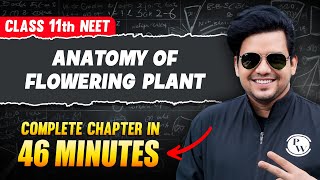 ANATOMY OF FLOWERING PLANTS IN 46 Minutes | FULL Chapter For NEET | PhysicsWallah