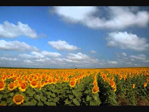 Slavujev poj (Pesma rastanka)