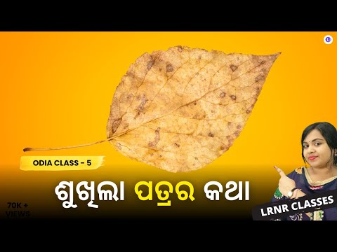 Sukhila Patra Ra Katha Class 5 Odia Chapter 3 