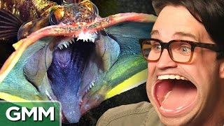 Unbelievable Underwater Creatures